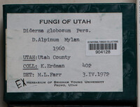 Image Associated With the Occurence